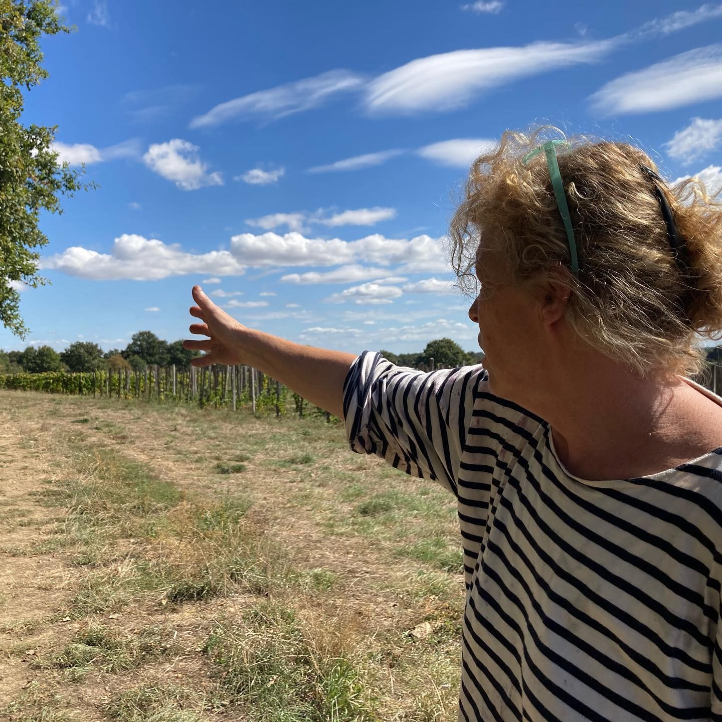 Xavière Hardy montrant les vignes du bras